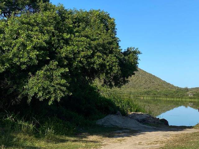 #326 - Casa para Venda em Cabo Frio - RJ - 3